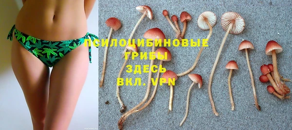 PSILOCYBIN Верхний Тагил